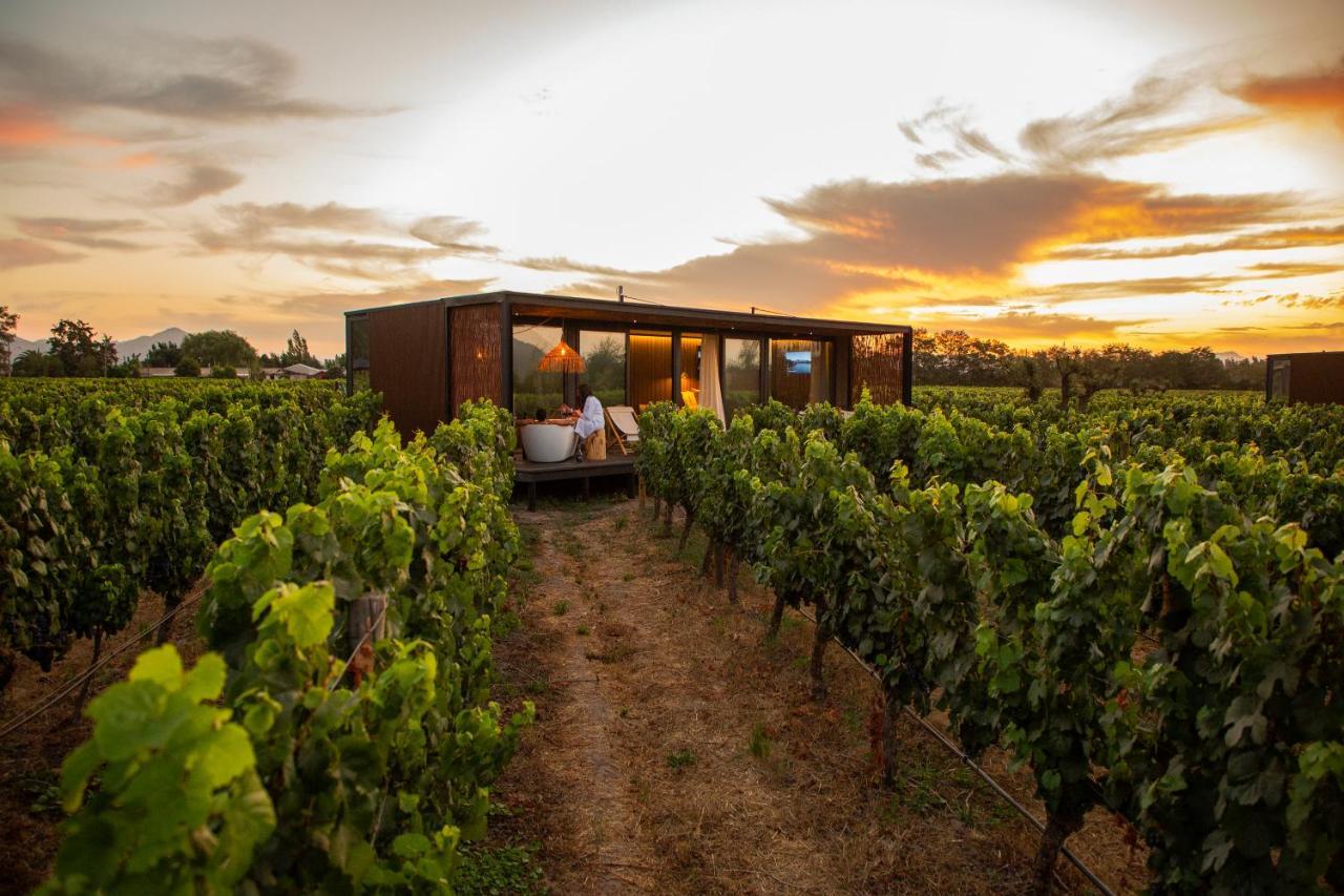Vibo Wine Lodge At Viu Manent Santa Cruz Exterior photo